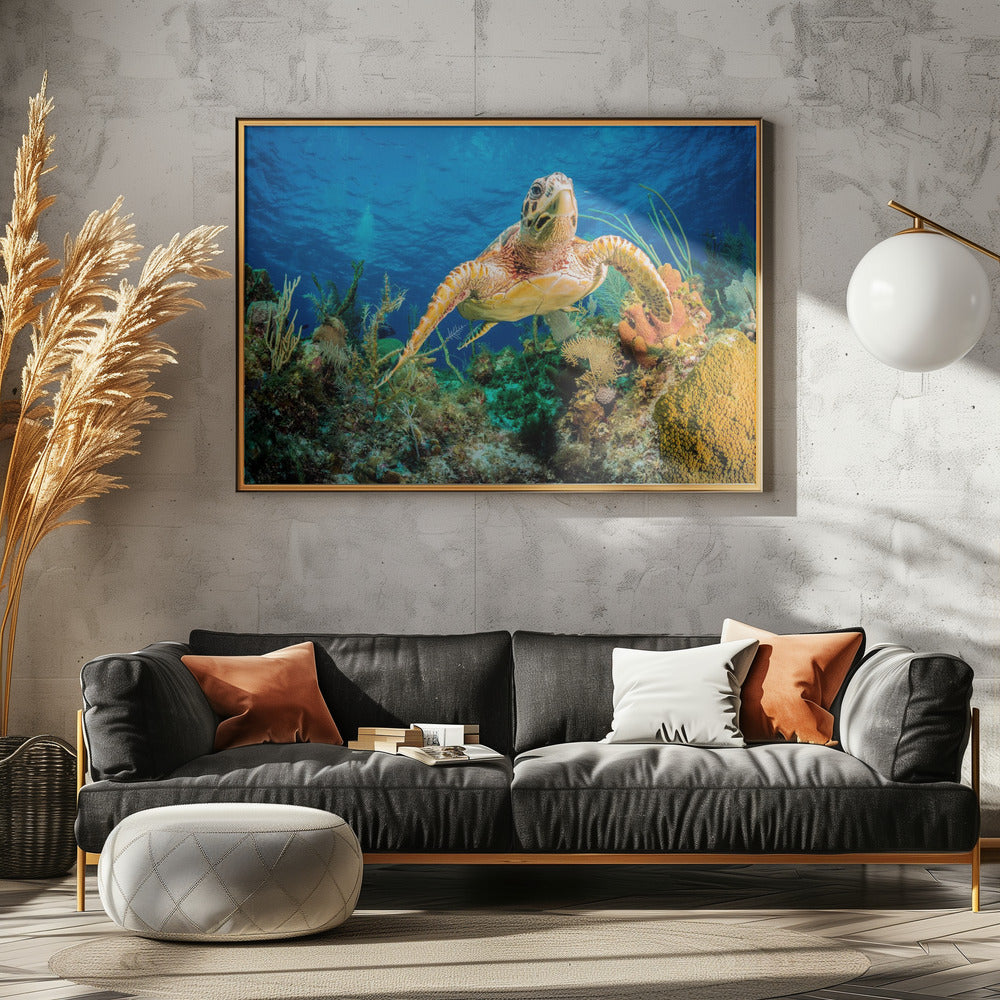Karettschildkröte schwimmt durch karibisches Riff | Leinwand