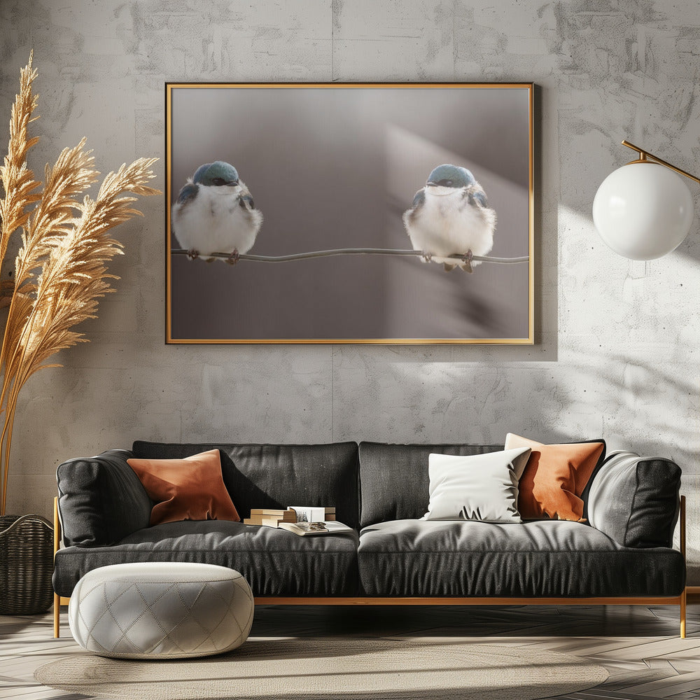 Vögel auf einem Draht | Poster