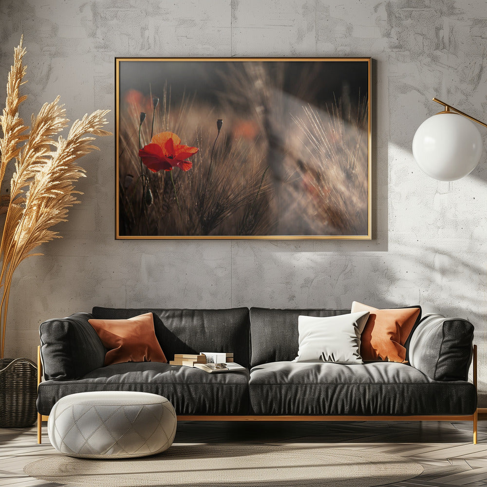 Mohn mit Mais | Leinwand