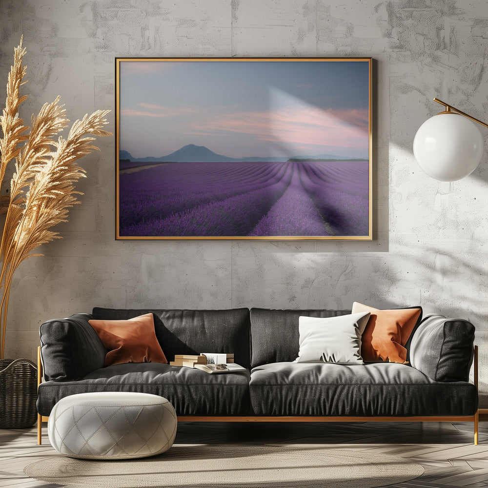 Lavendelfeld | Leinwand