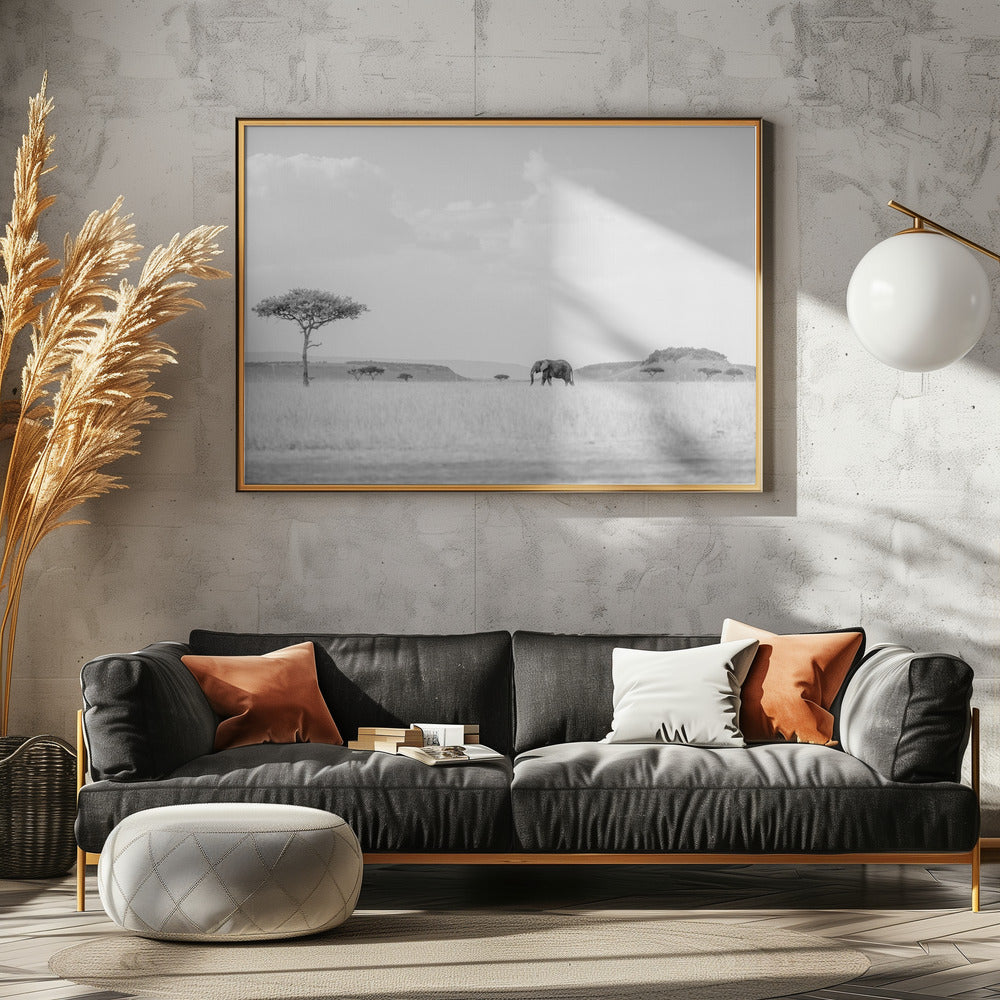 HIGH KEY SAVANNAH | Canvas