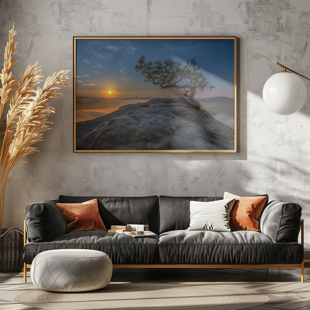 Alte Kiefer | Leinwand