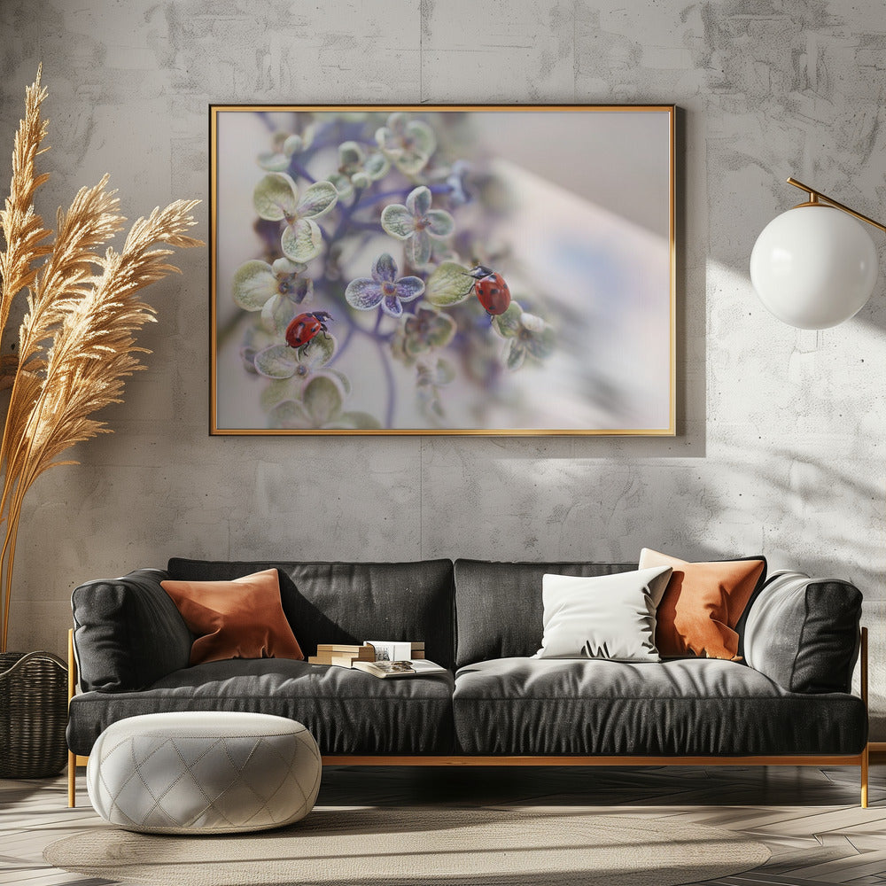 Fragile | Canvas