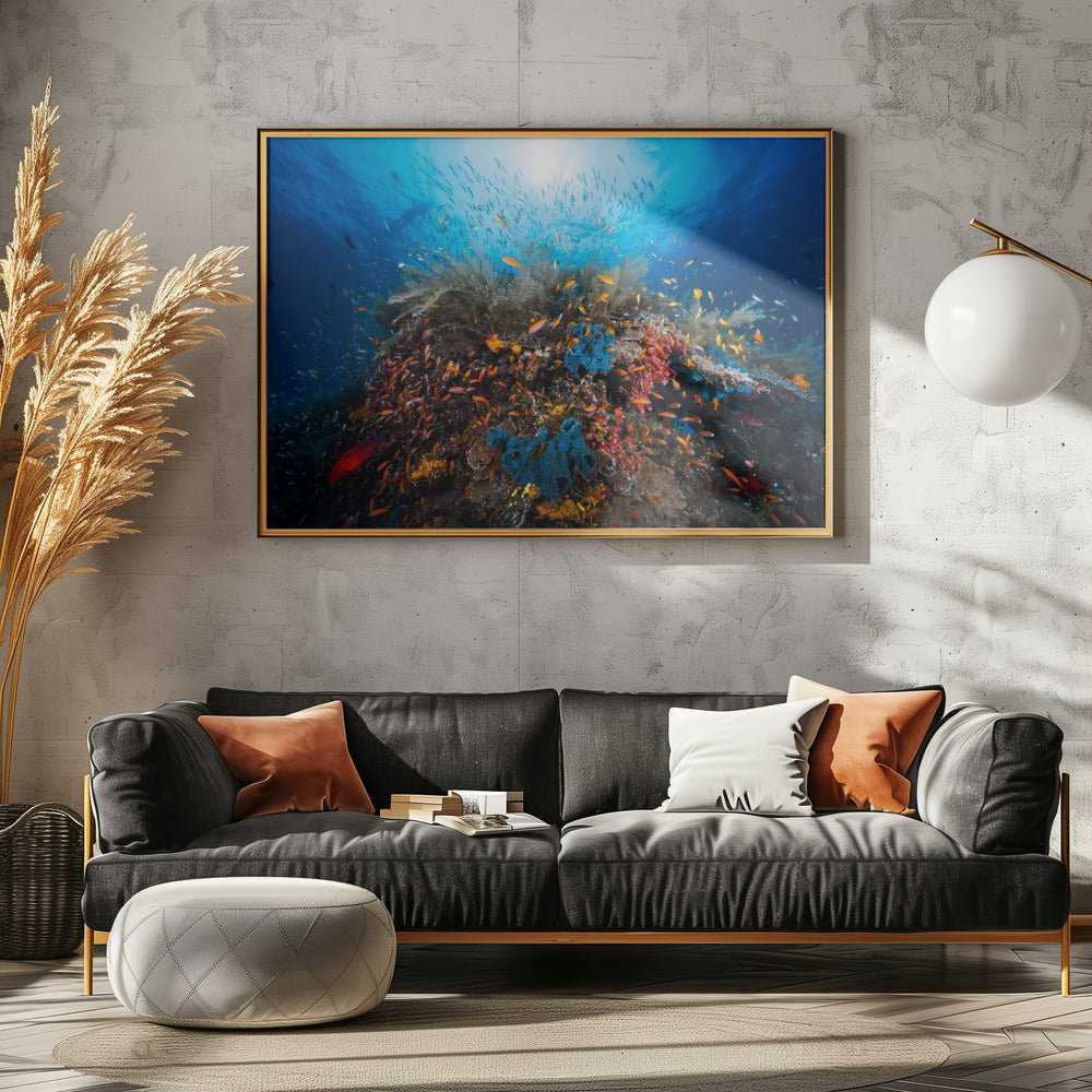 Apnea | Canvas