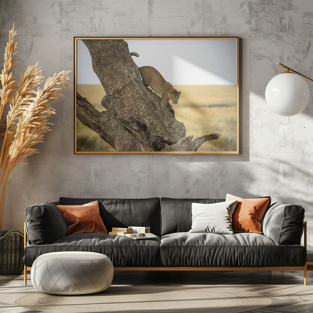 Leopard – Serengeti, Tansania | Poster