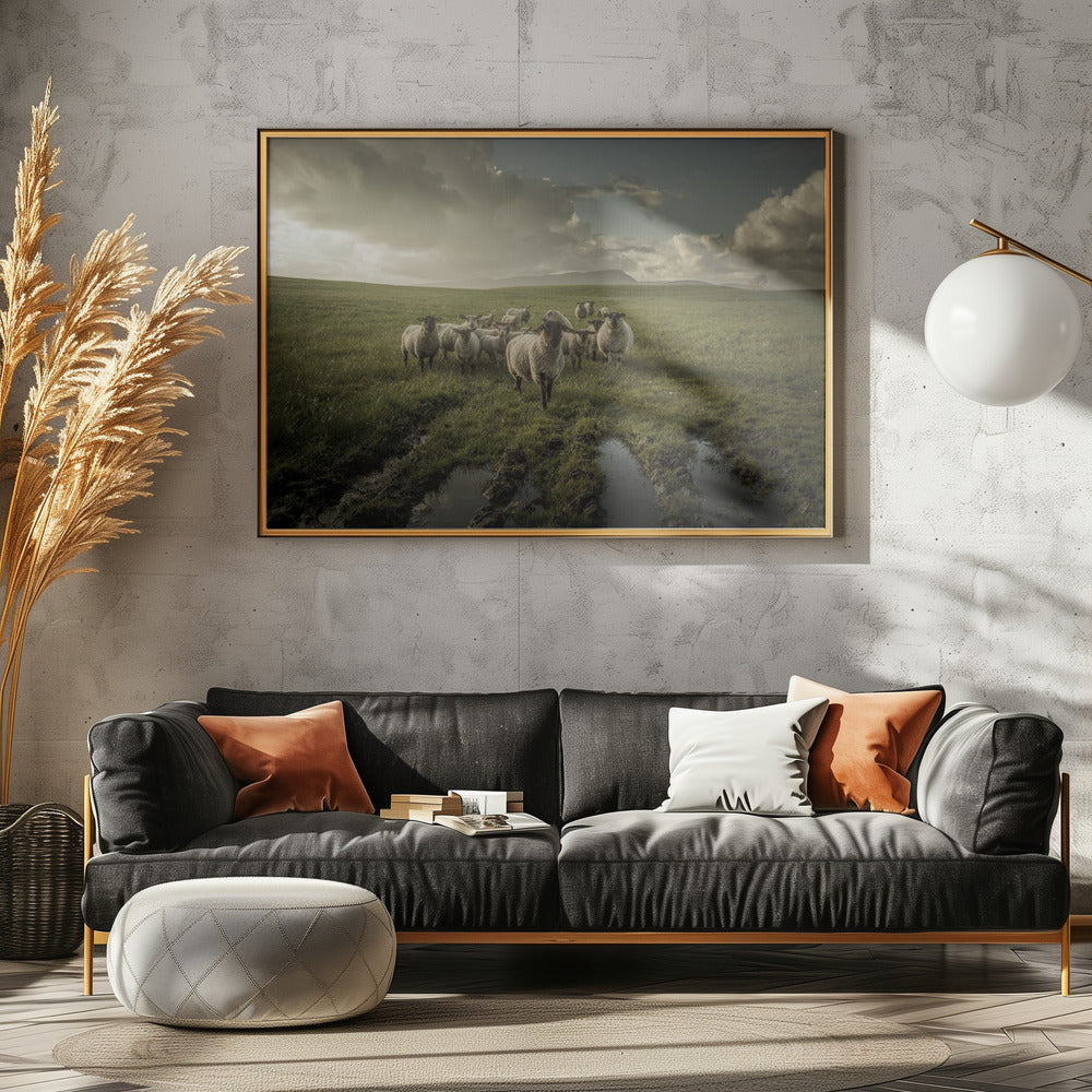 Schaf | Leinwand