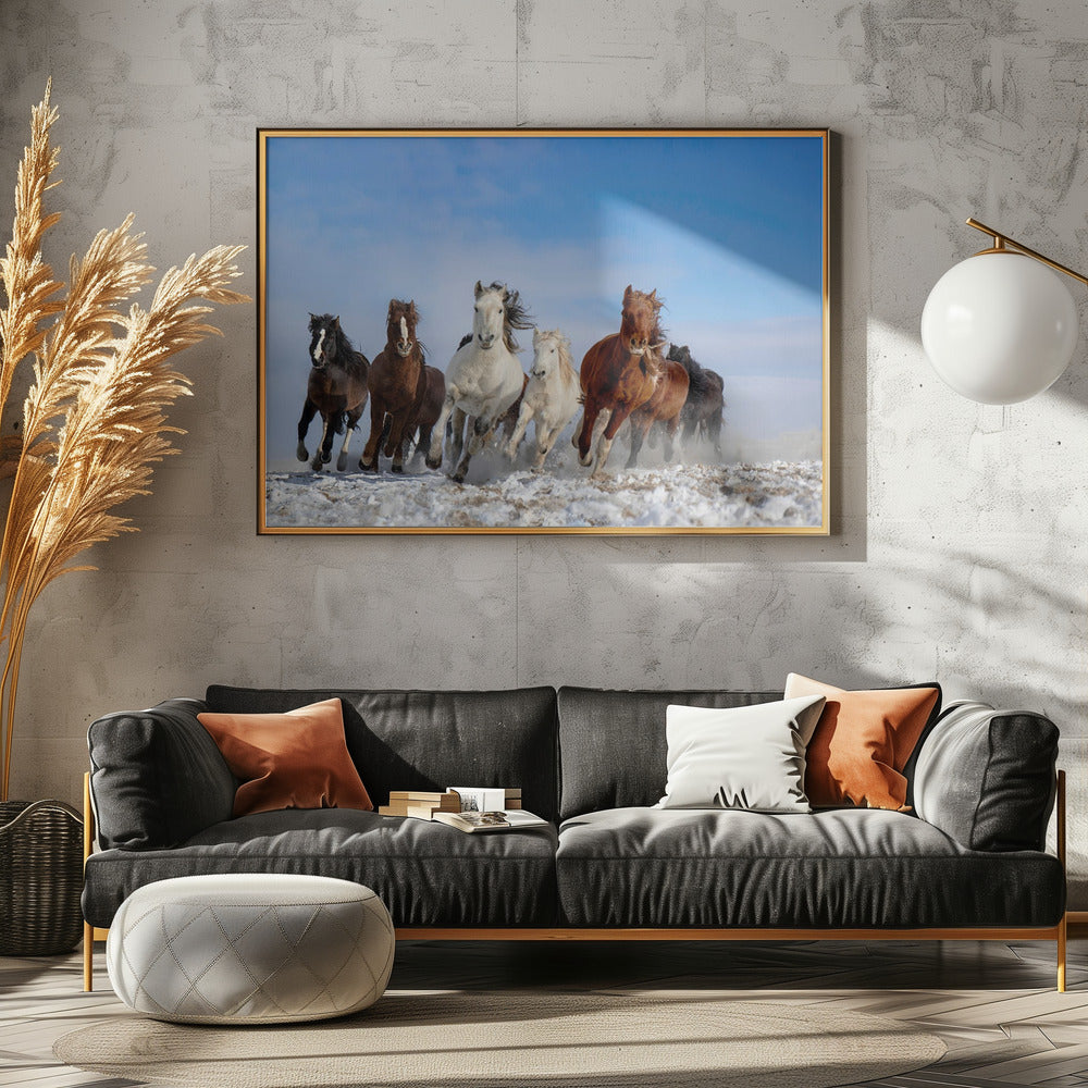 Mongolische Pferde | Leinwand