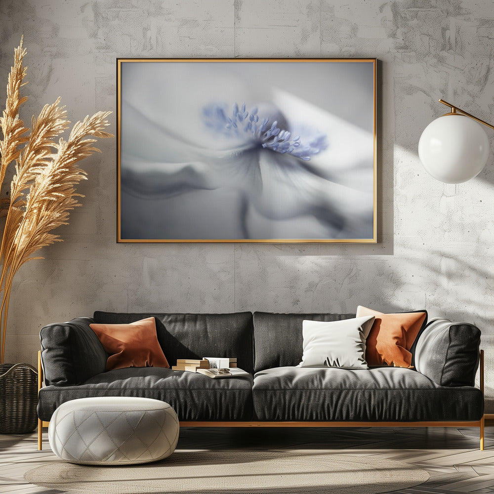 Anemone spirit | Canvas