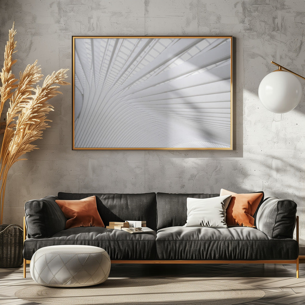 Curvature | Canvas