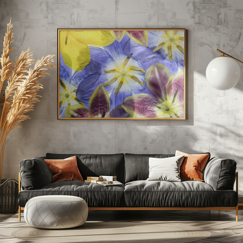 Tulpen | Leinwand