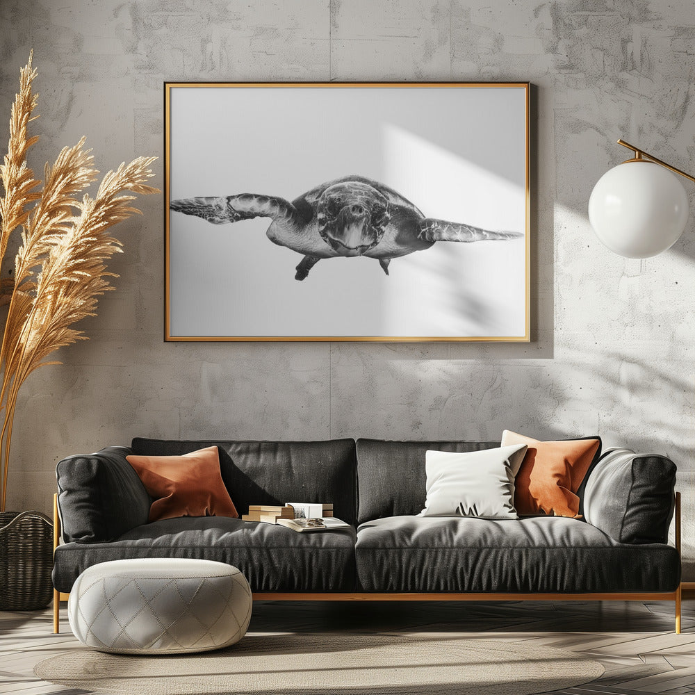 Weiß und Schildkröte | Poster