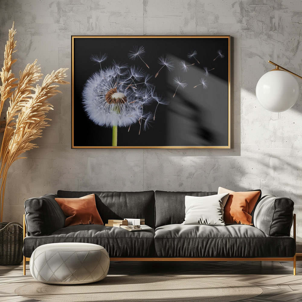 Pusteblume | Leinwand