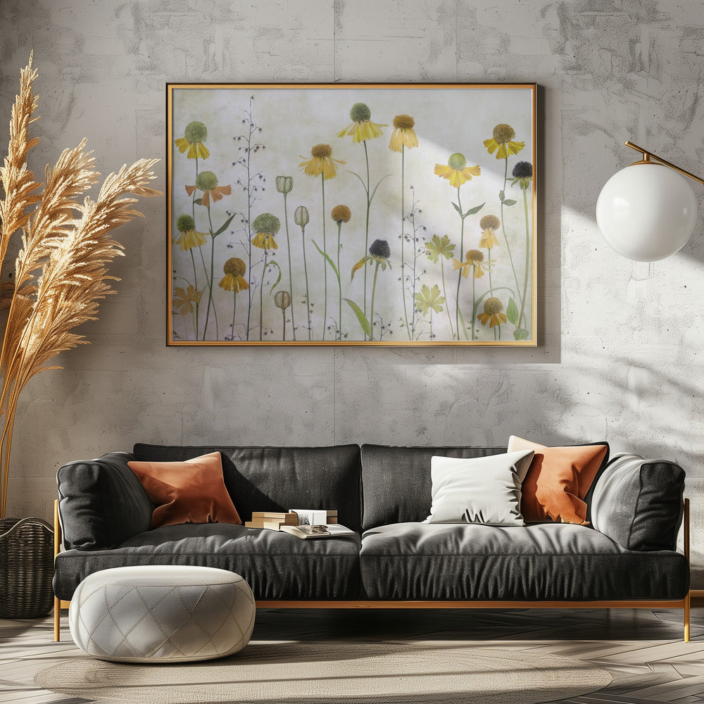 Helenium | Poster