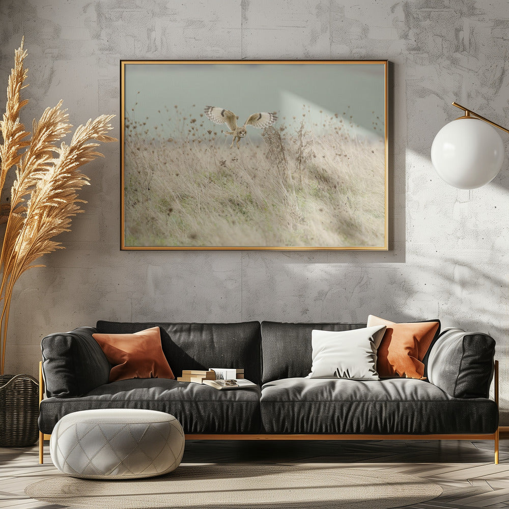 Jagd auf Sumpfohreule | Poster