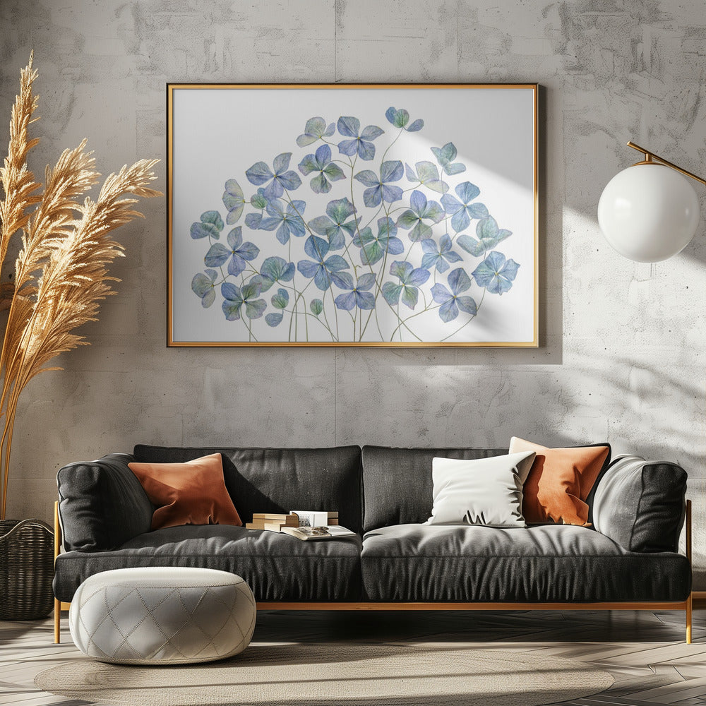 Hortensie | Leinwand
