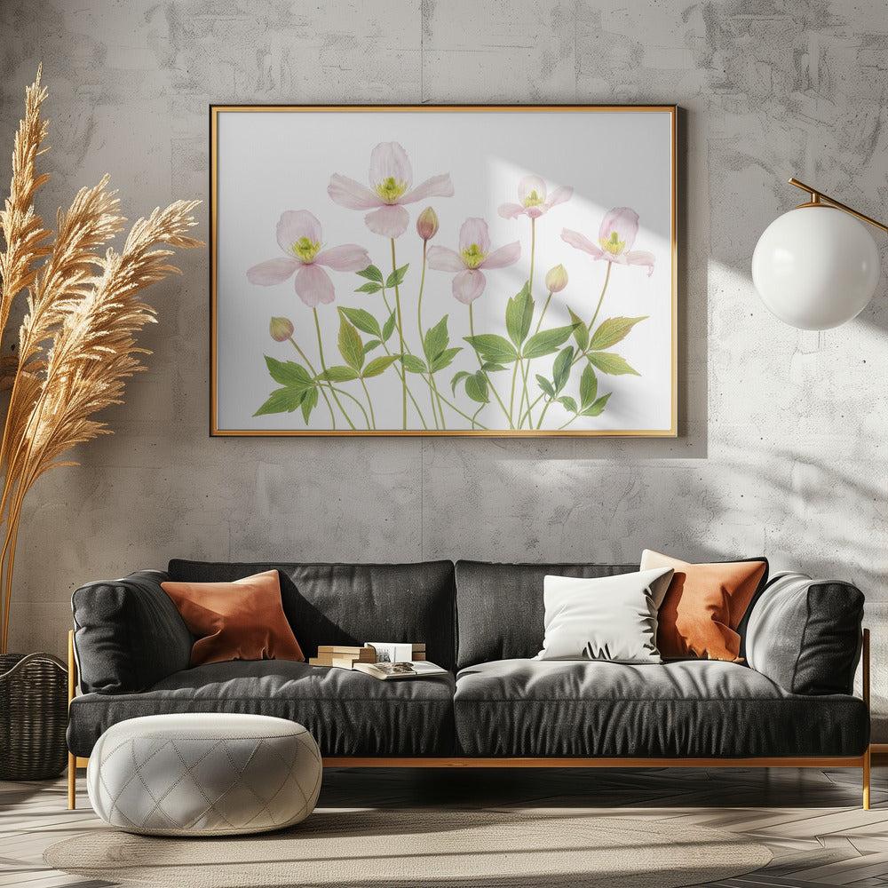 Clematis | Leinwand