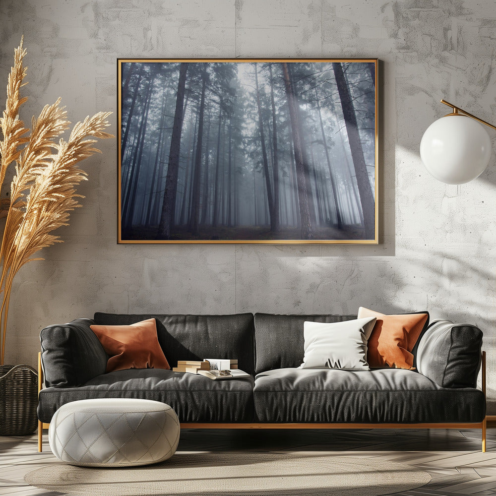 Geheimnisvoller Nebelwald. | Poster