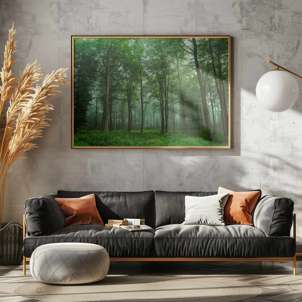 Waldblick | Leinwand