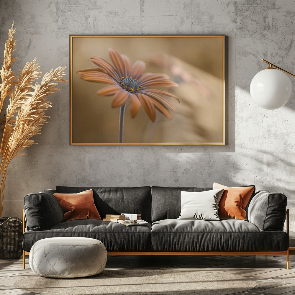 Sommerglühen | Leinwand