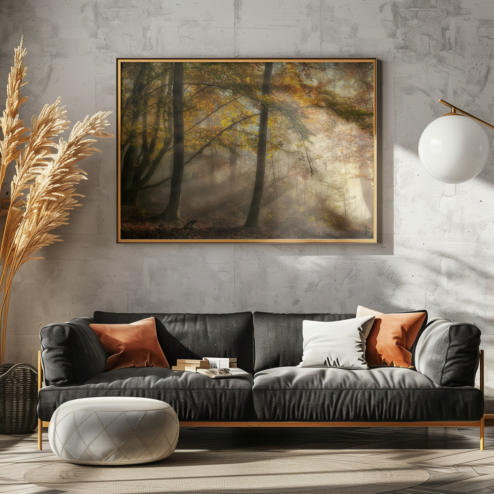Die Lichter des Waldes | Leinwand