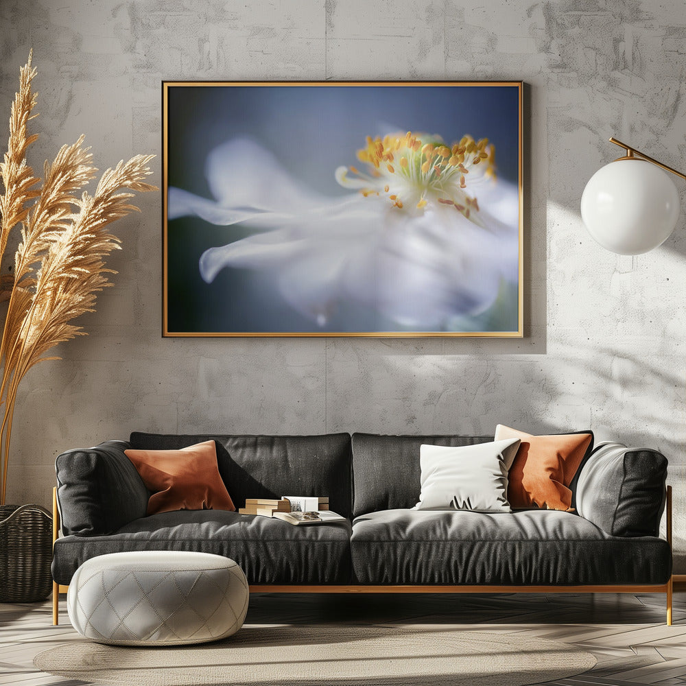 Anemone 1 | Leinwand