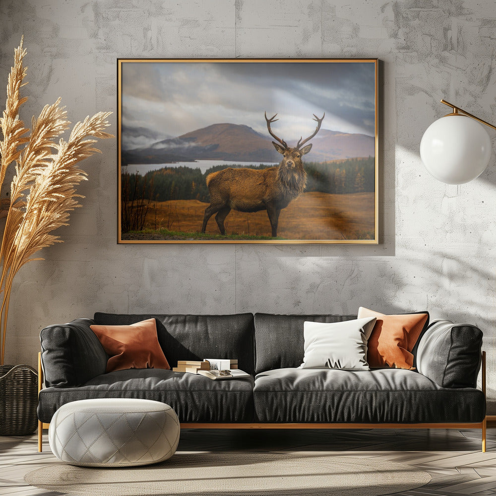 Schottischer Hirsch | Leinwand