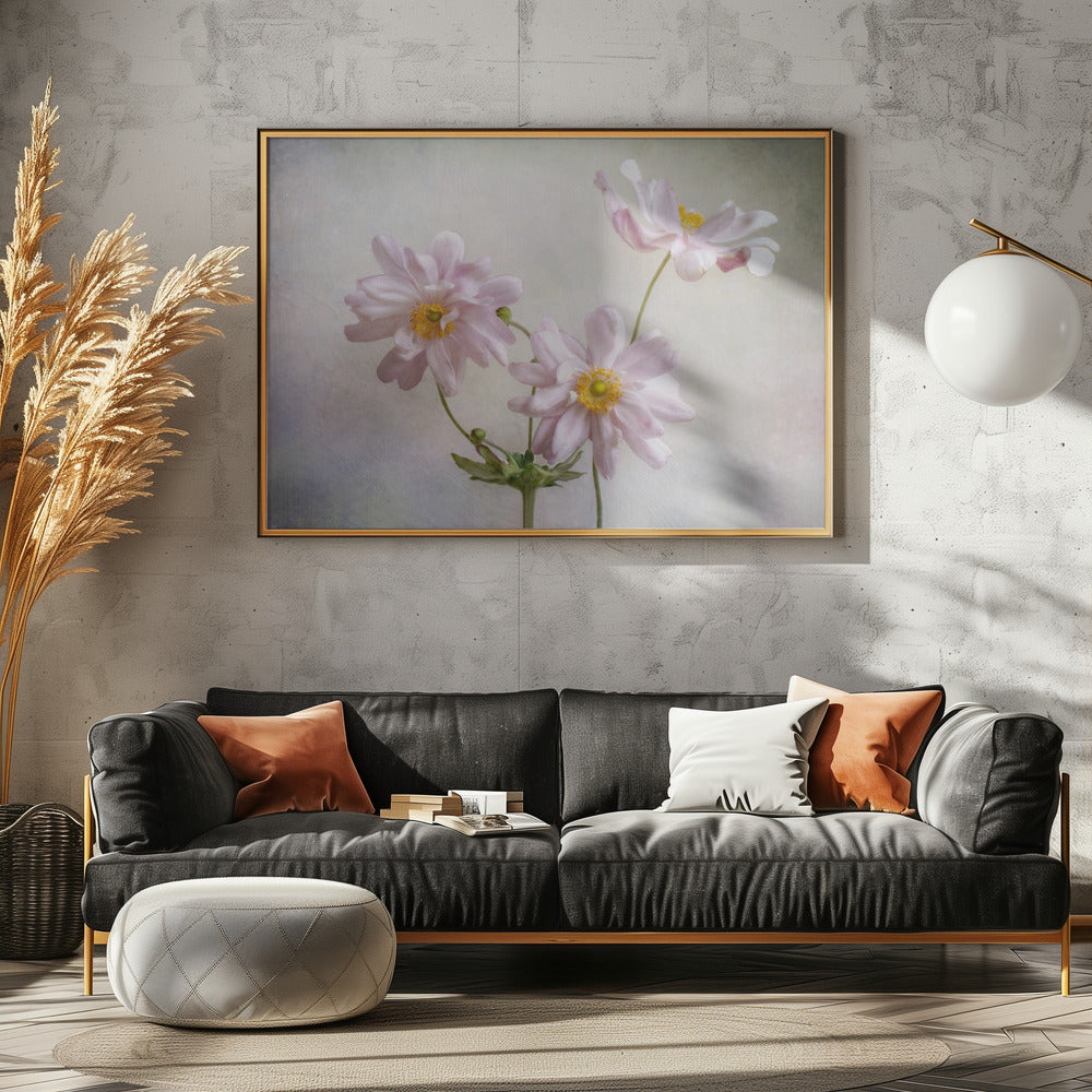 Anemonen | Leinwand