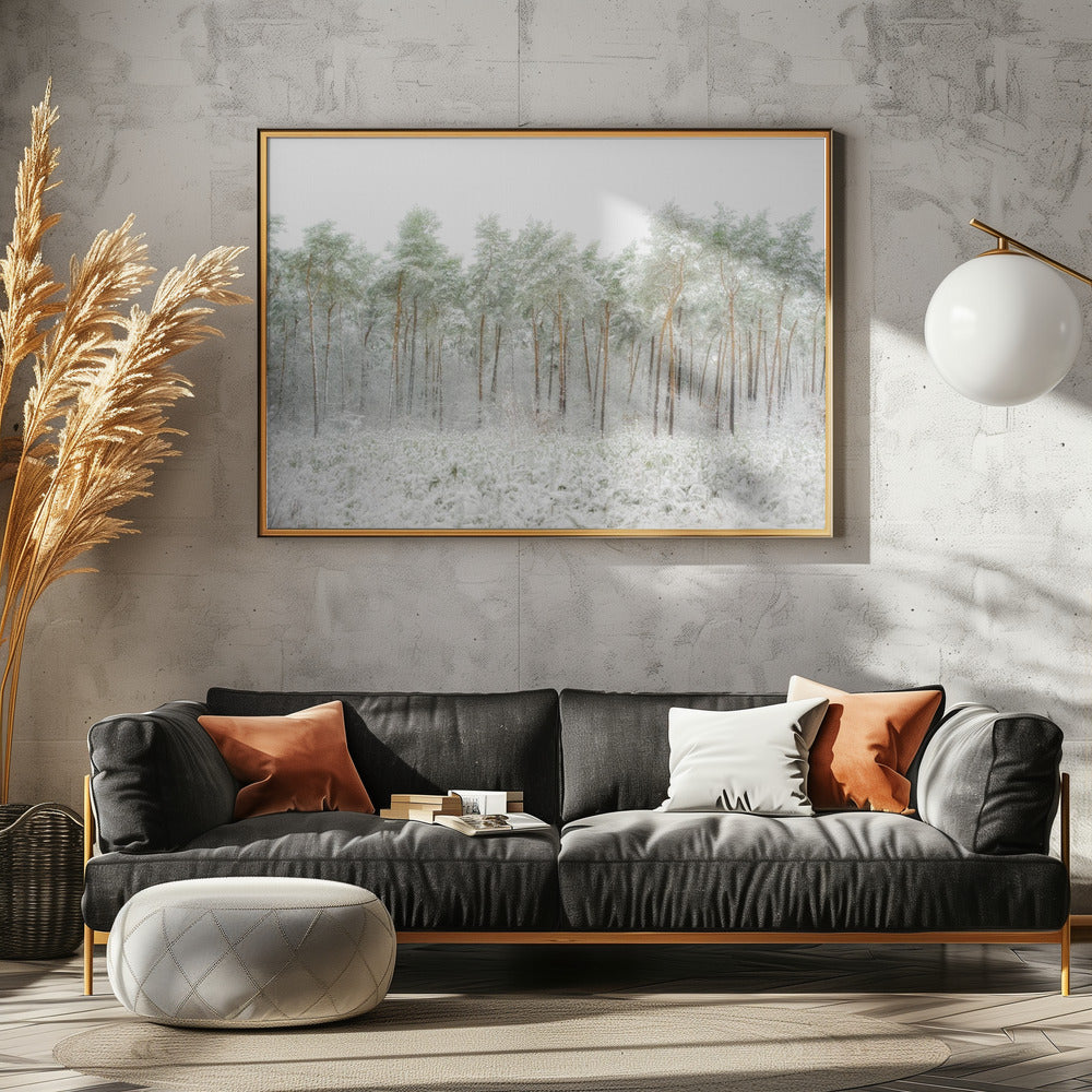 Snow world | Canvas