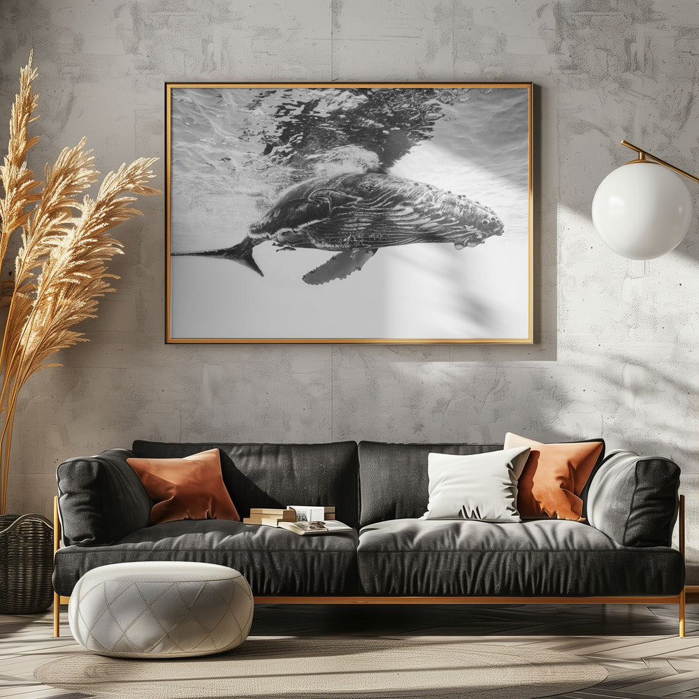 Buckelwal-Kalb | Poster