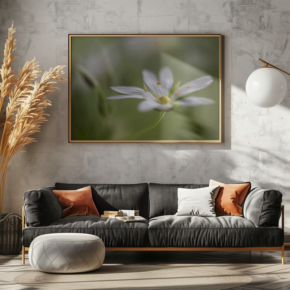 Stitchwort | Poster