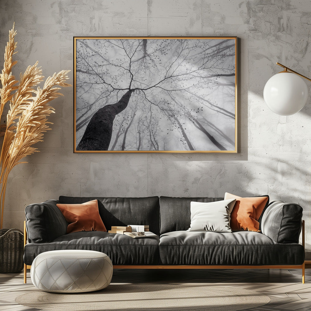 Ein Blick in die Baumkrone | Leinwand