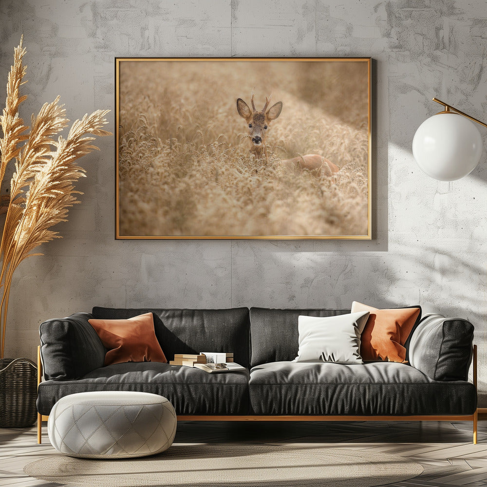 Hirsch auf dem Feld | Leinwand