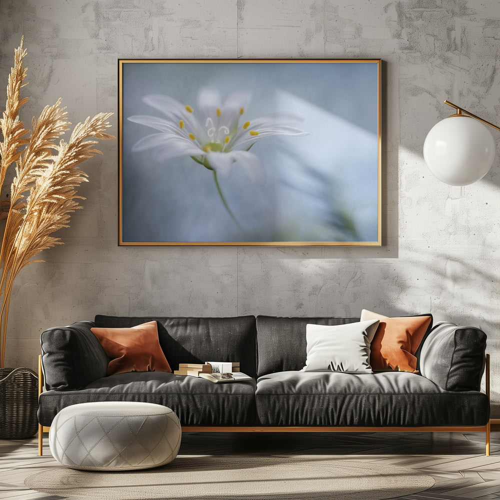 Große Sternmiere | Leinwand