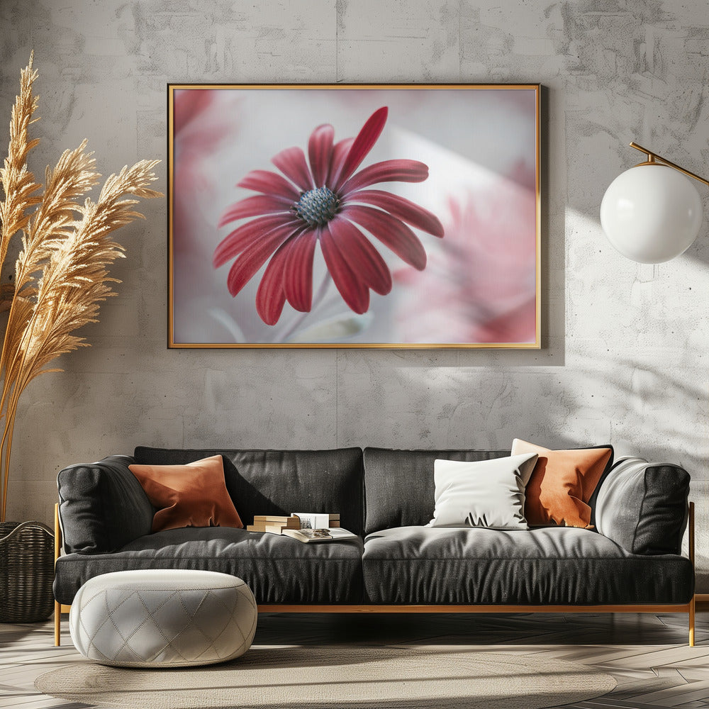 Daisy | Canvas