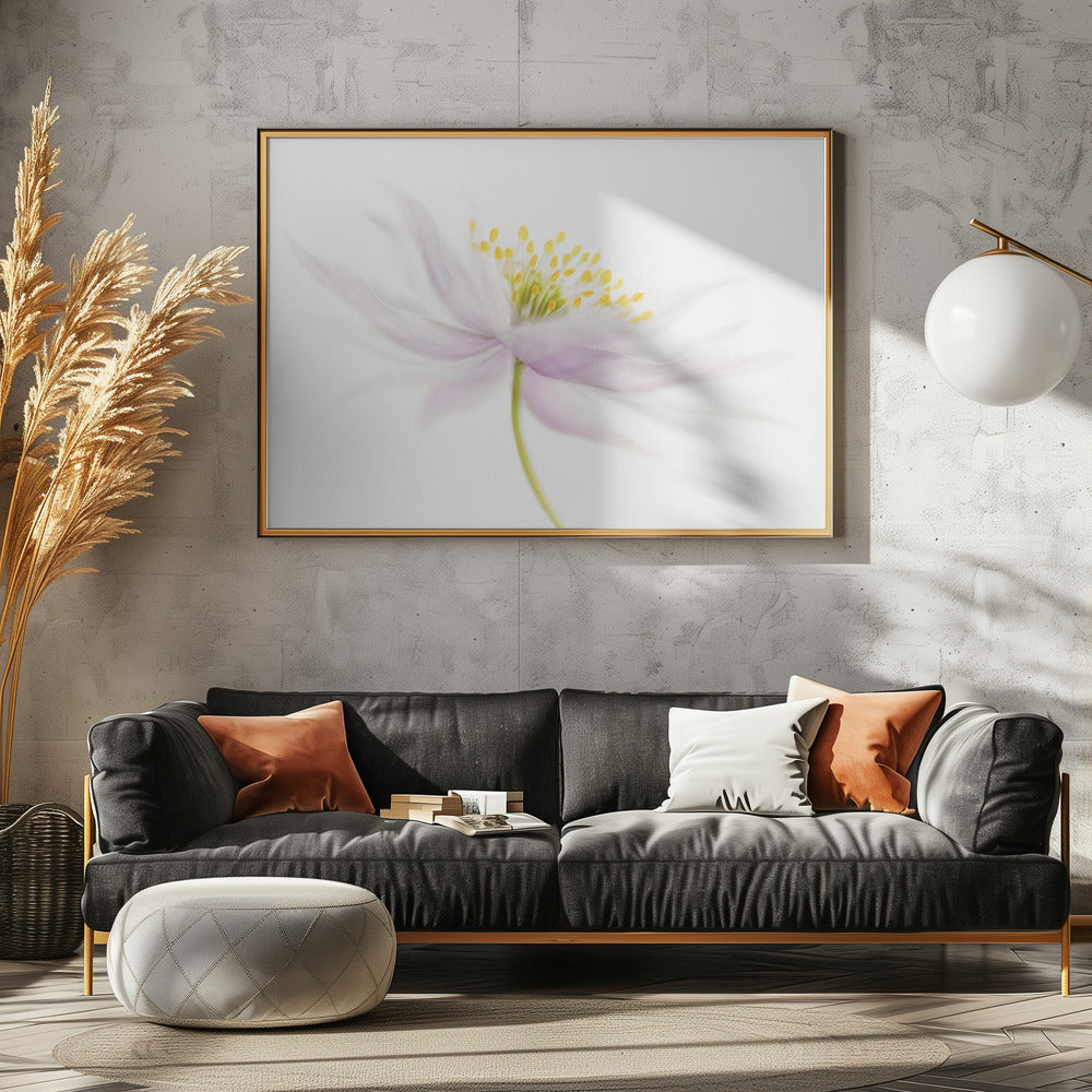 Nemorosa | Canvas
