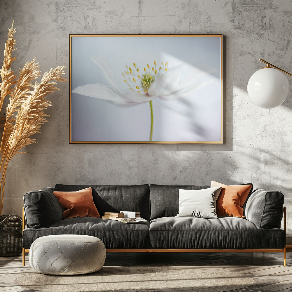 nemorosa | Leinwand