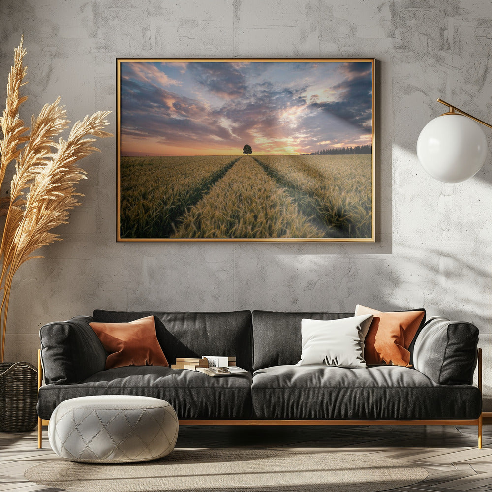 Field of dreams | Poster