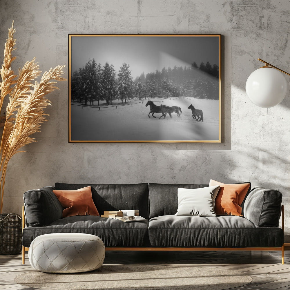 Ohne Titel | Leinwand