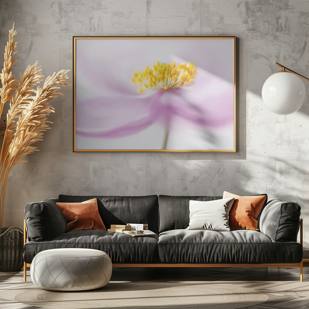 *Anemone* | Poster