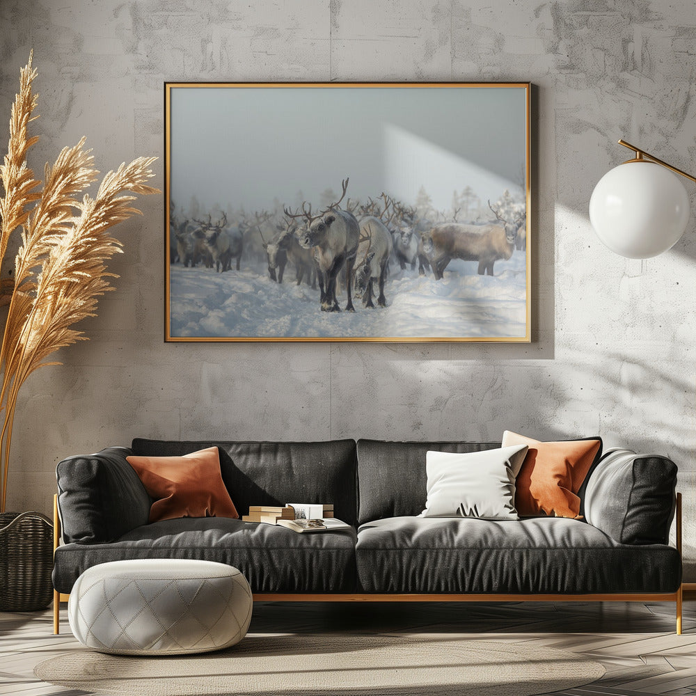 Rentiere | Leinwand