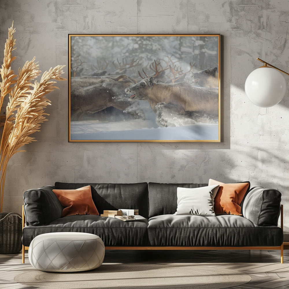 Rentiere III | Leinwand