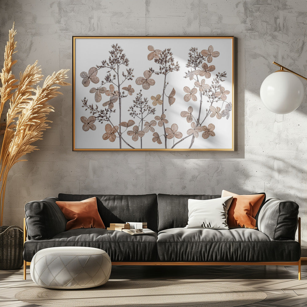 Hydrangea paniculata | Poster