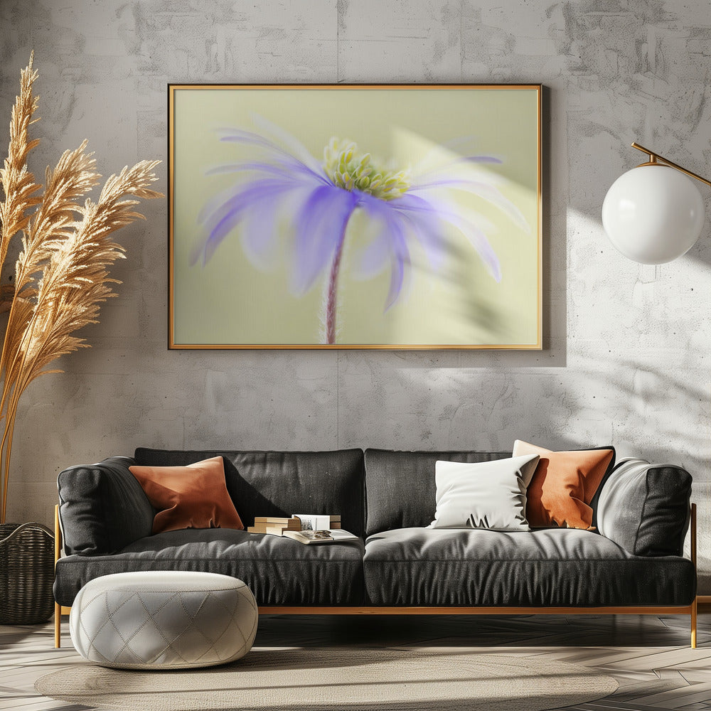Anemone Blanda | Leinwand