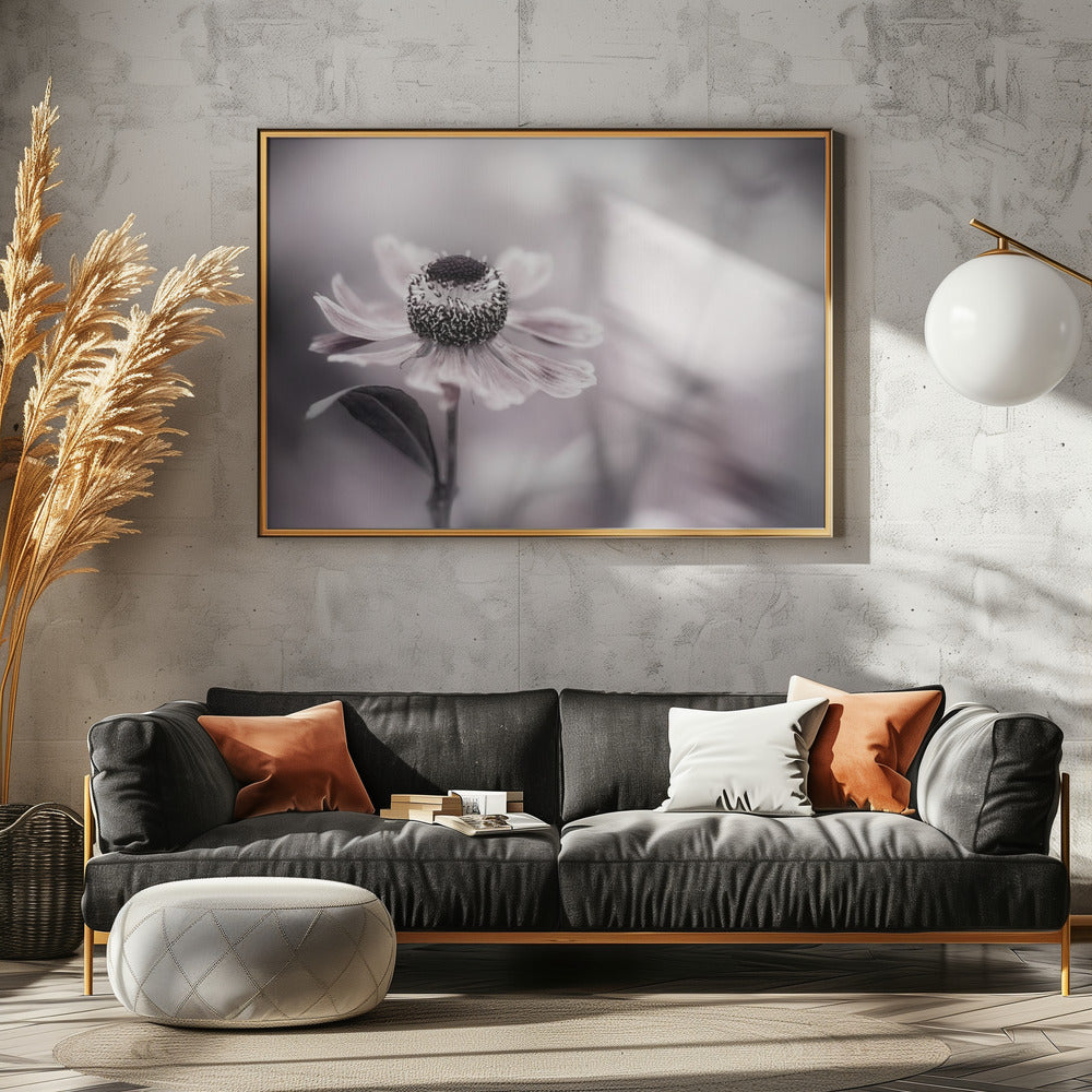 Helenium | Poster