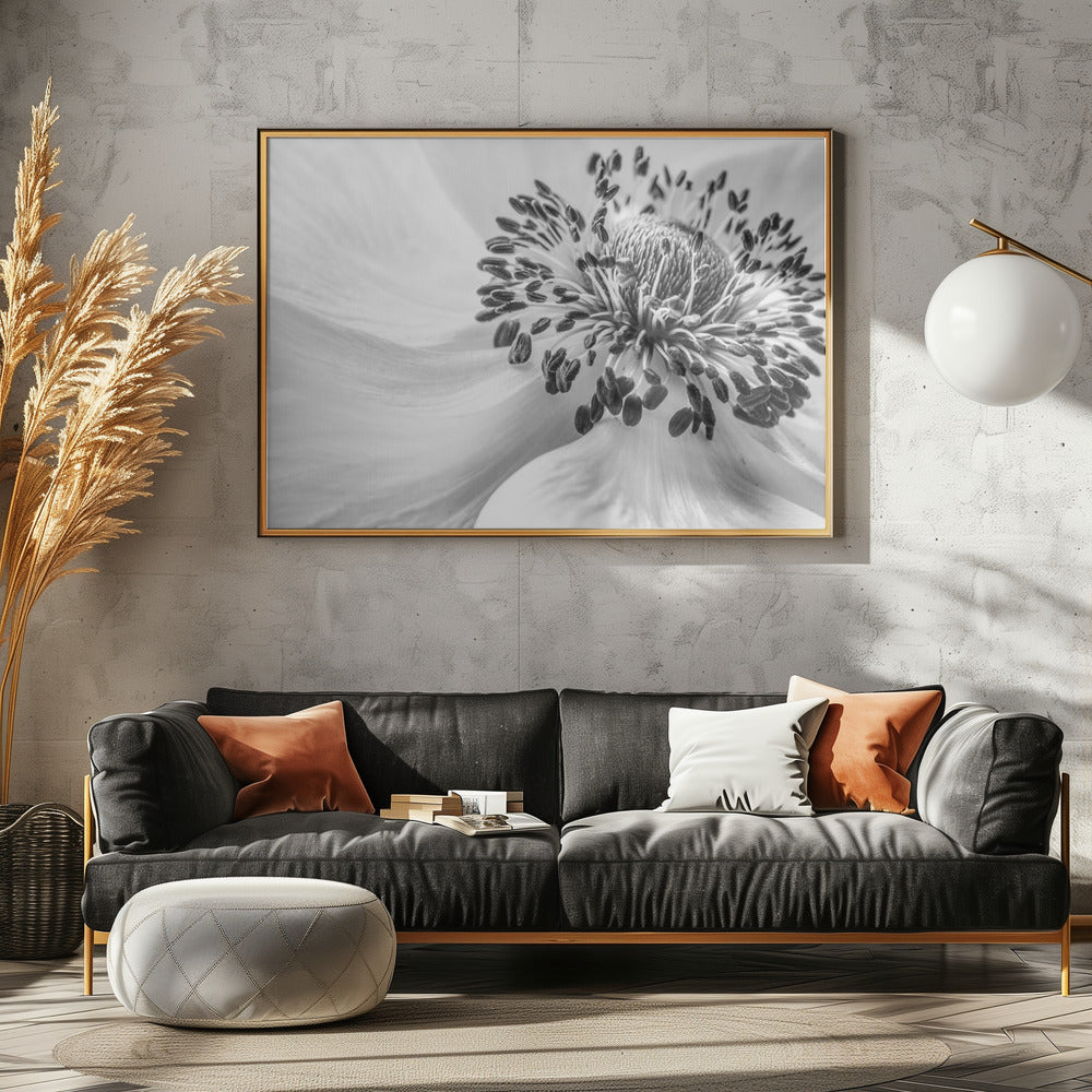 Anemone | Leinwand