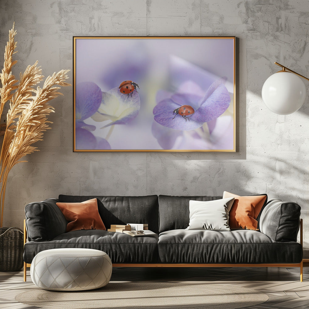 Red and purple | Canvas