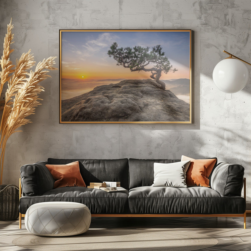 Alte Kiefer | Leinwand