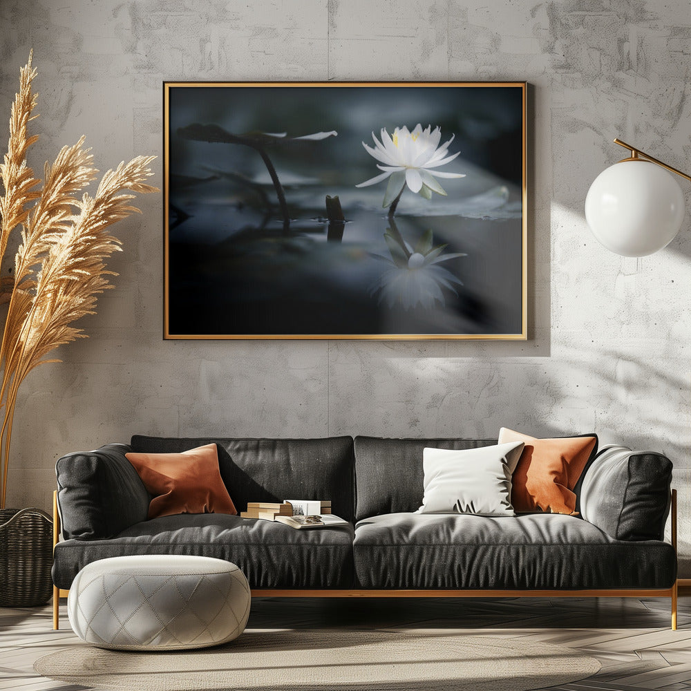 Reflexion | Poster