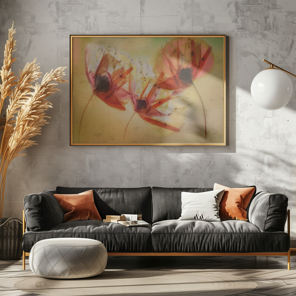 Mohnsamen | Poster