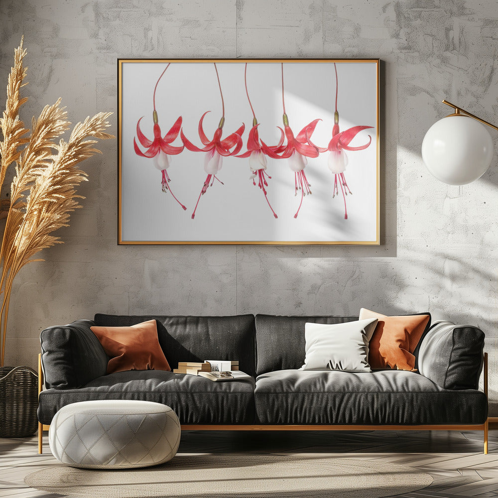 Fuchsie | Leinwand